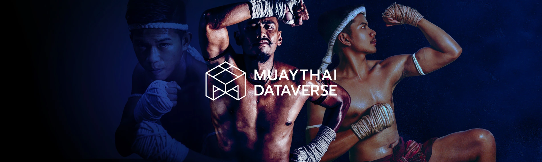 MUAYTHAI Dataverse